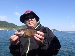 メバル