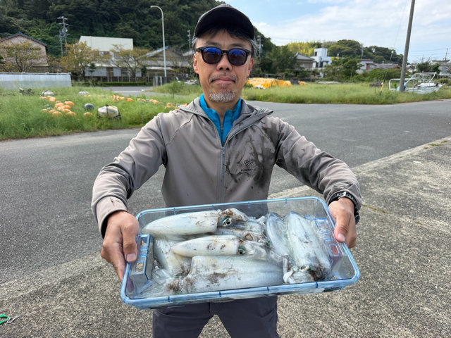 アオリイカ