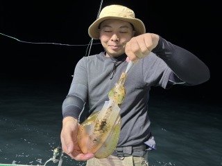 アオリイカ