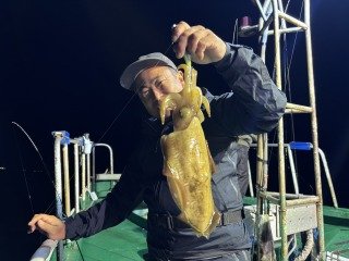 アオリイカ