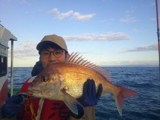 マダイ