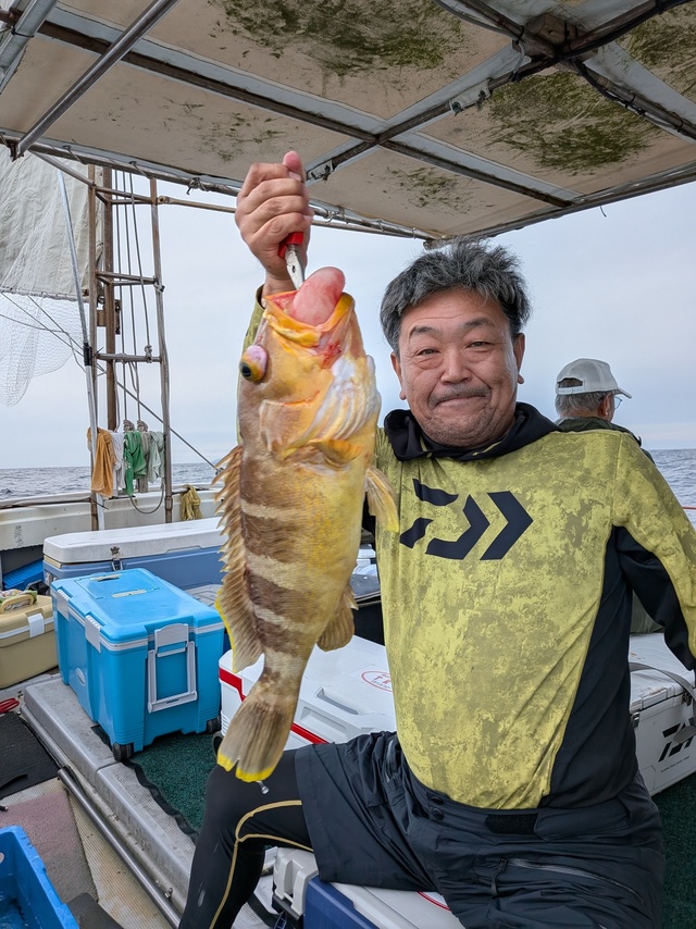 アオナ(アオハタ)