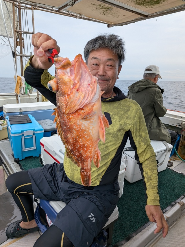 アラカブ(カサゴ)