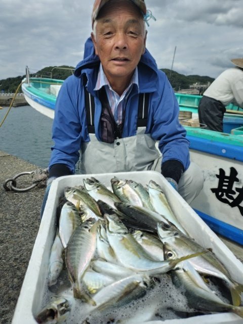 アジ(マアジ)