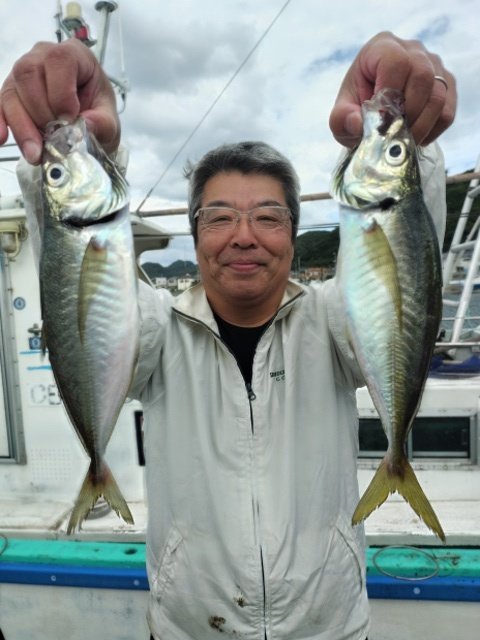 アジ(マアジ)