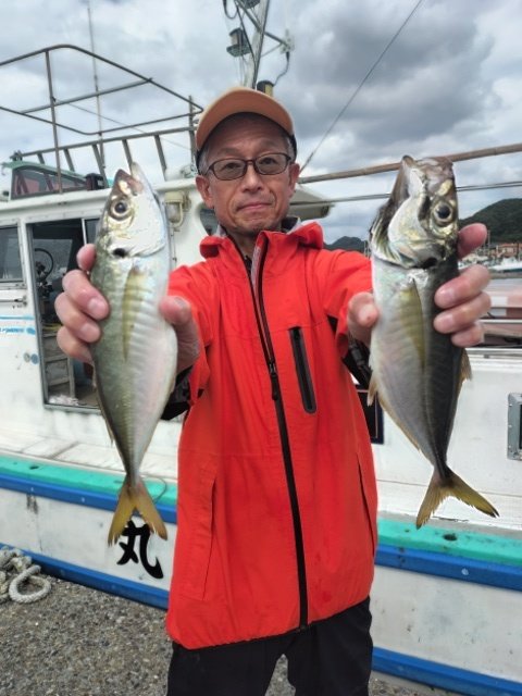 アジ(マアジ)
