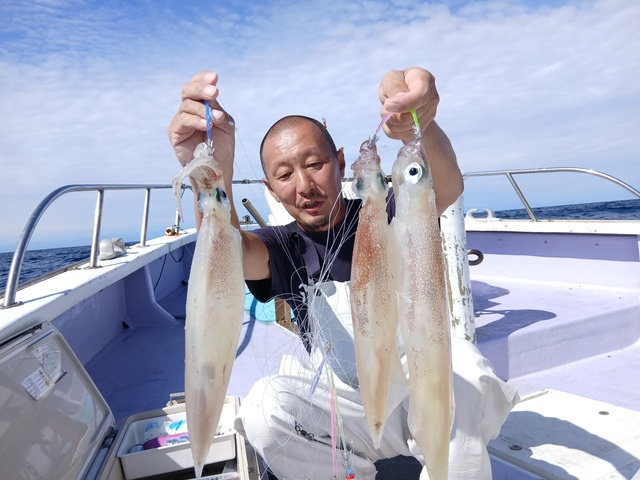ヤリイカ