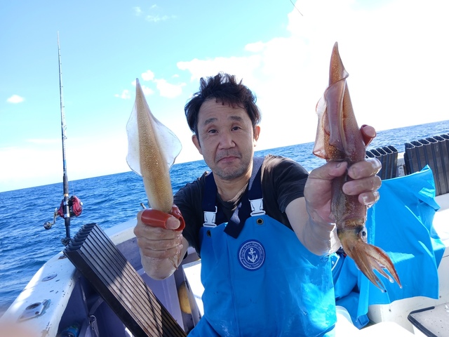 ヤリイカ