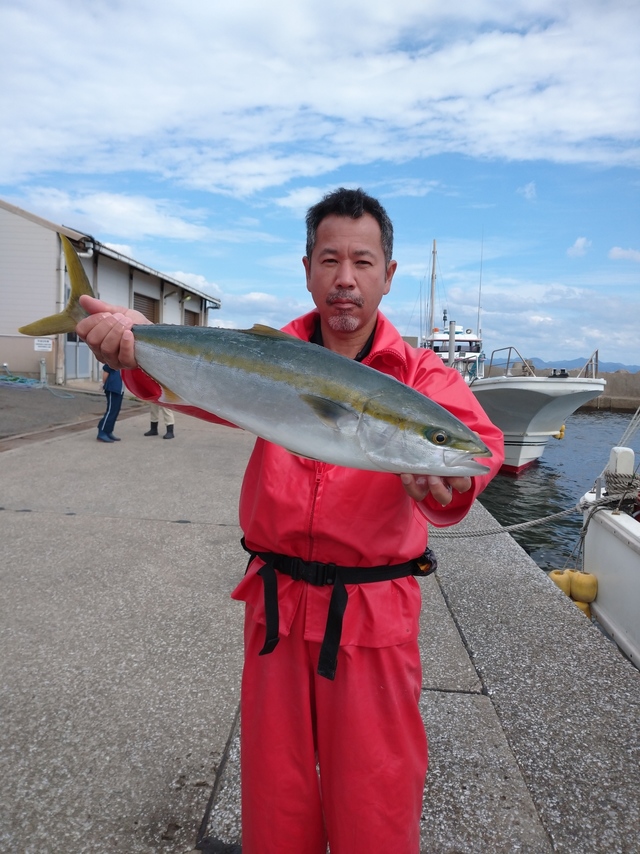ワラサ(ブリ)