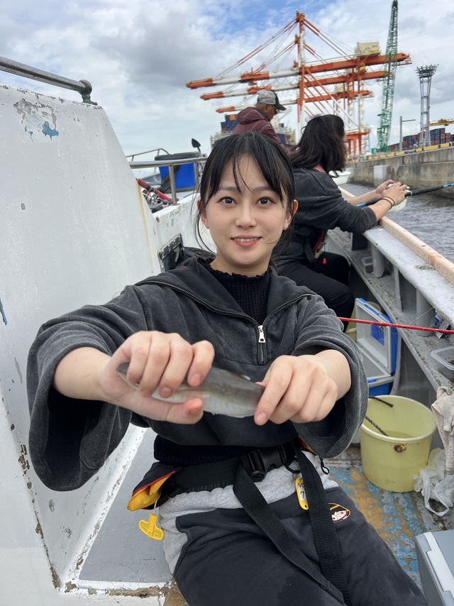 アジ(マアジ)