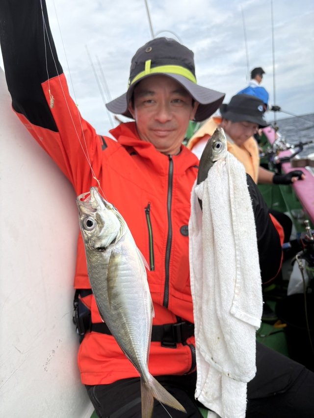 アジ(マアジ)