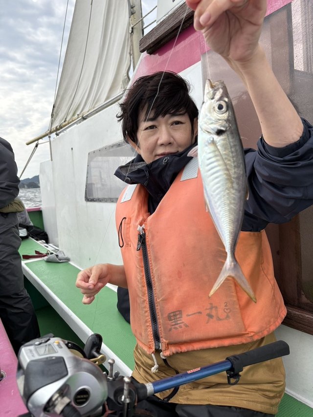 アジ(マアジ)