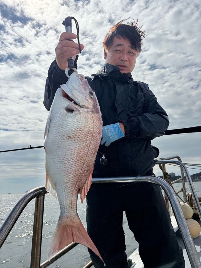 マダイ