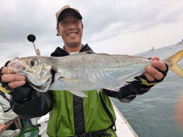 アジ(マアジ)