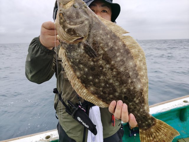 ヒラメ