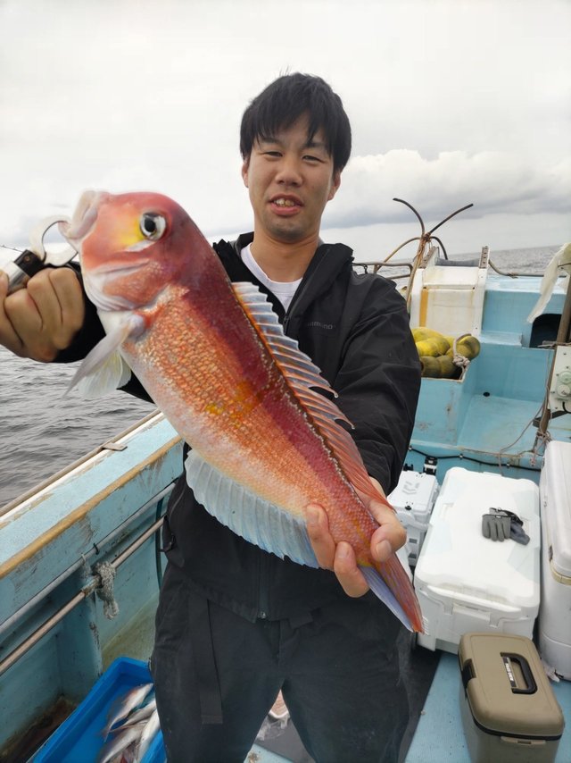 アマダイ(アカアマダイ)