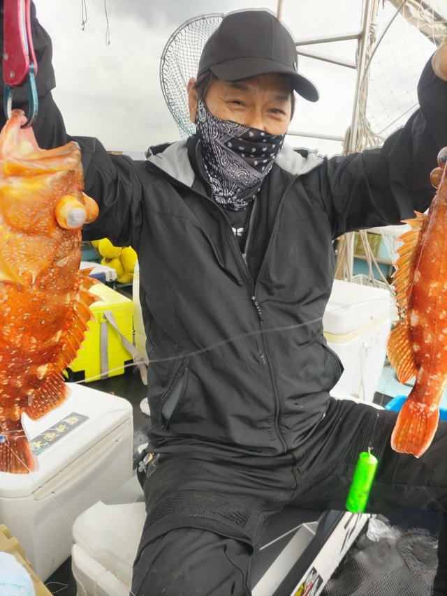 ウッカリカサゴ