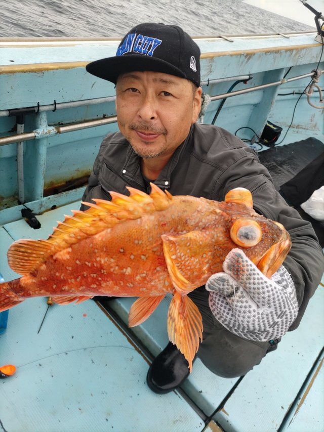 ウッカリカサゴ