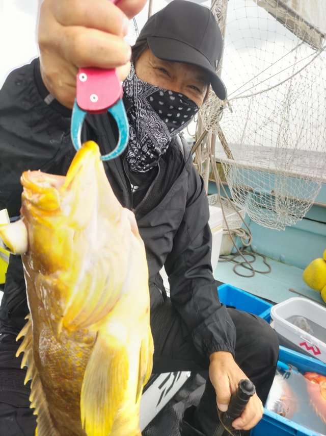 アオハタ