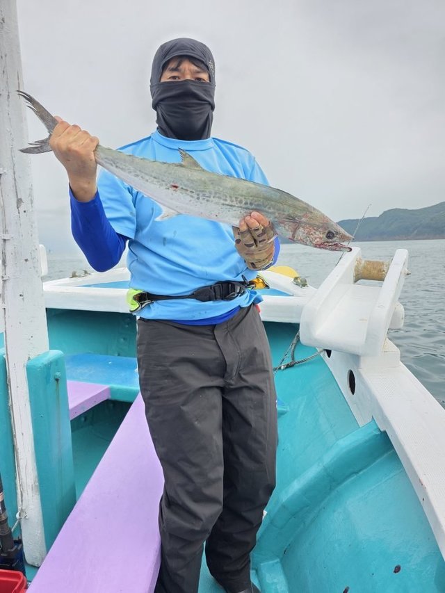 サワラ