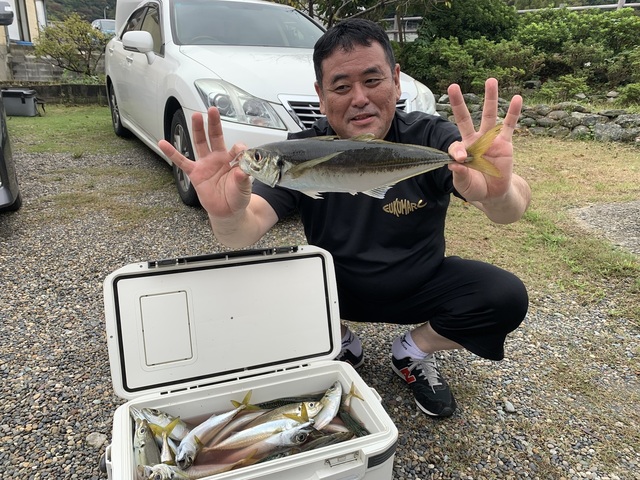 アジ(マアジ)