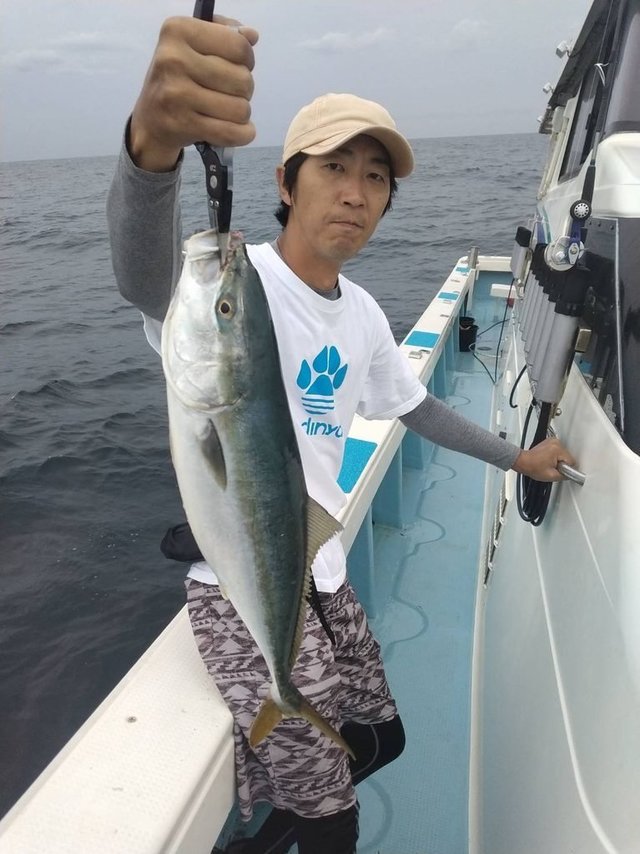 ヤズ(ブリ)