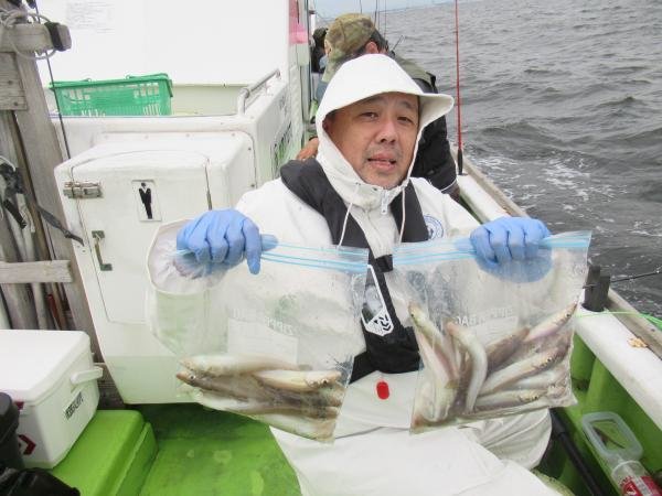 シロギス
