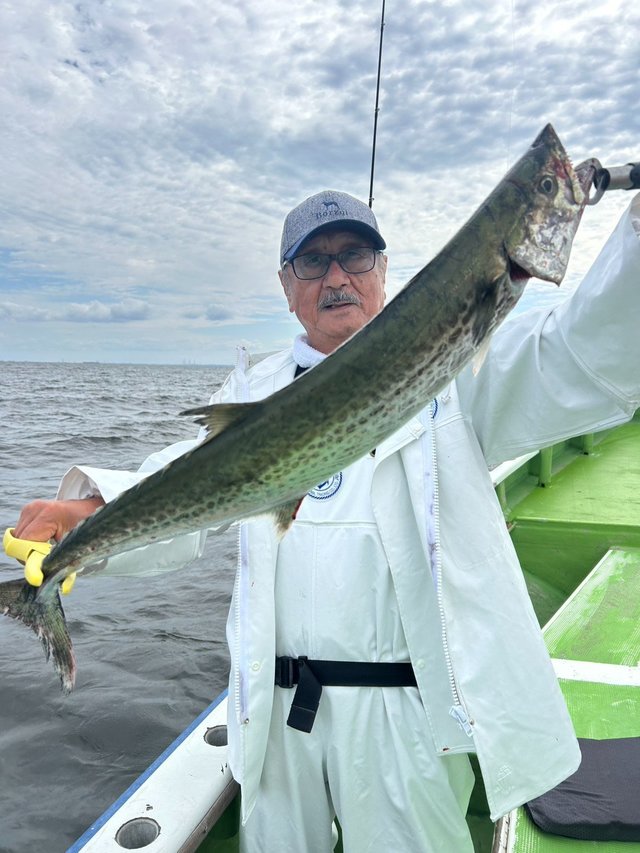 サワラ
