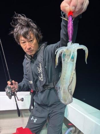 アオリイカ