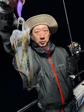 アオリイカ
