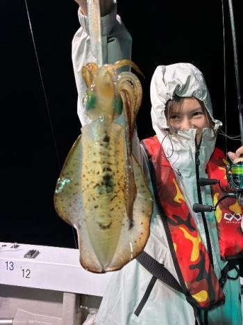 アオリイカ