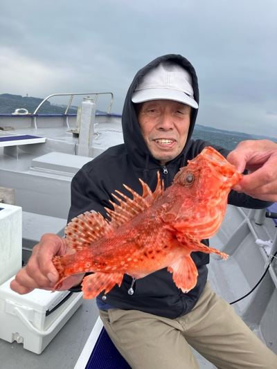 オニカサゴ
