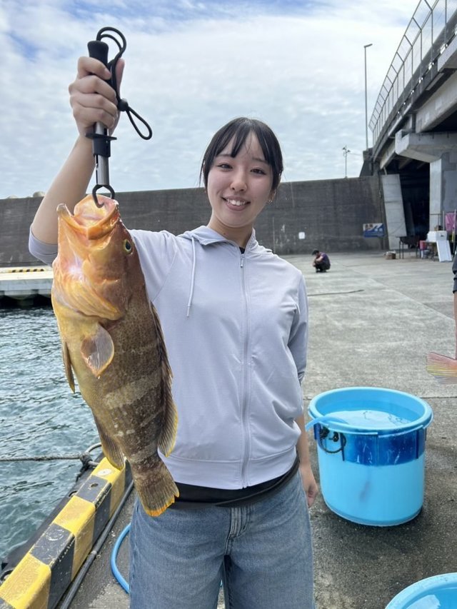 アオハタ