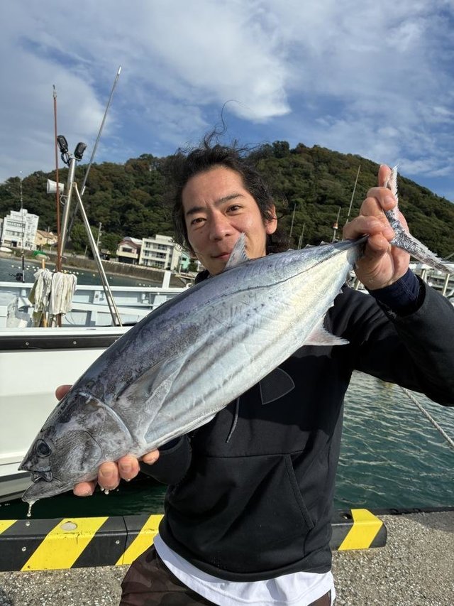 カツオ
