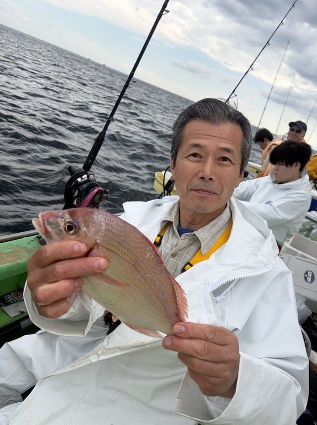 マダイ