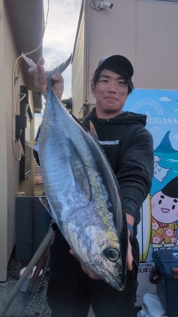 キメジ(キハダ)