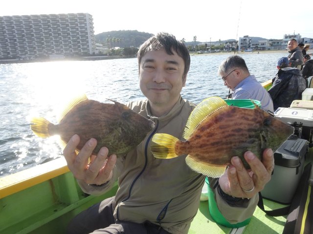 カワハギ
