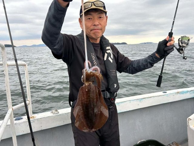 アオリイカ
