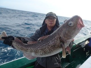 マダラ
