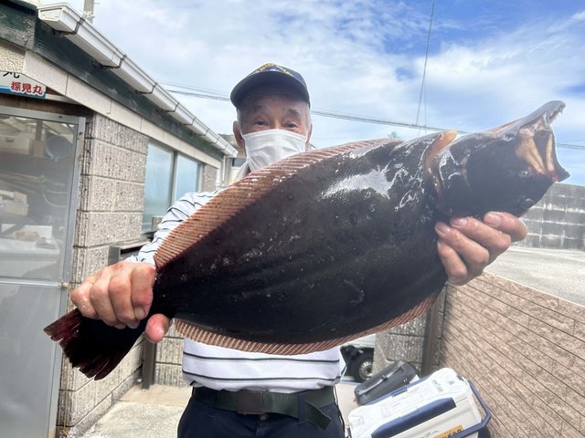 ヒラメ