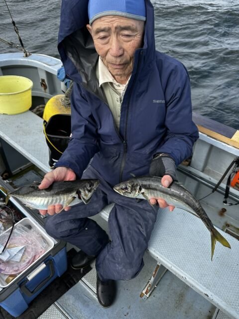 アジ(マアジ)