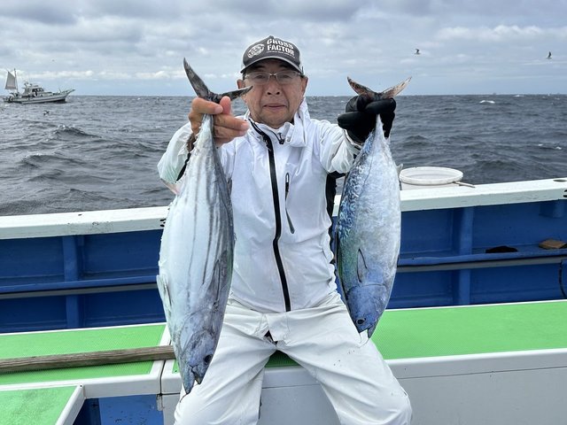 カツオ