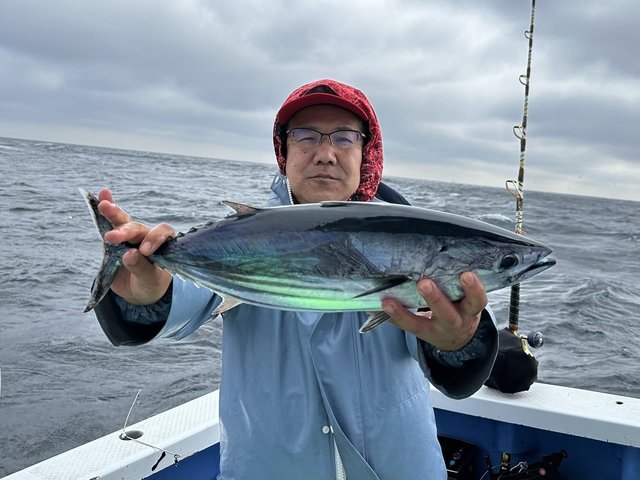 カツオ