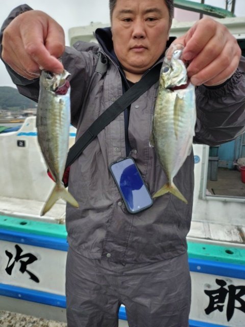 アジ(マアジ)