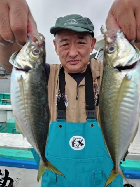 アジ(マアジ)