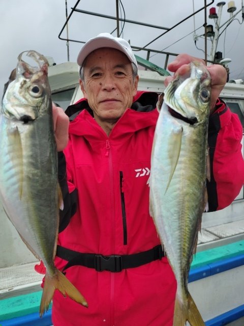 アジ(マアジ)