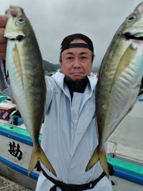 アジ(マアジ)