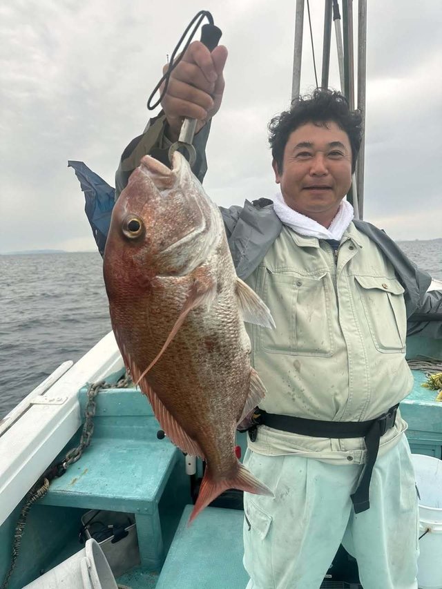 マダイ