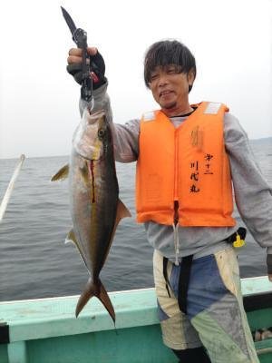 カンパチ