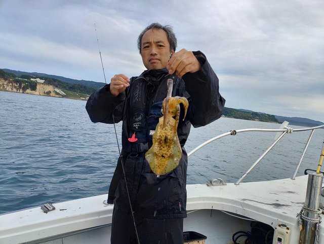 アオリイカ